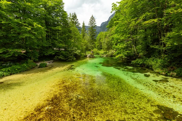 Lake Bohinj e Ukanc aldeia no parque nacional de Triglav, Eslovénia — Fotografia de Stock