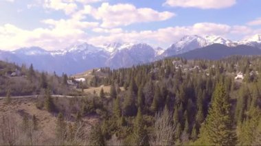 Ladin yakın üzerinde uçan, güzel Velika planina ladin dolu, küçük evler ve dağlar arka. Hava kamerası çekimi. Manzara panorama güneşli bir gün. Slovenya