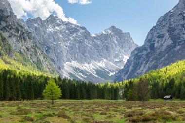 Sloven Alpleri'ndeki Krma vadisi