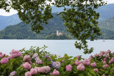 Güneşli yaz gününde Slovenya'da Bled gölü