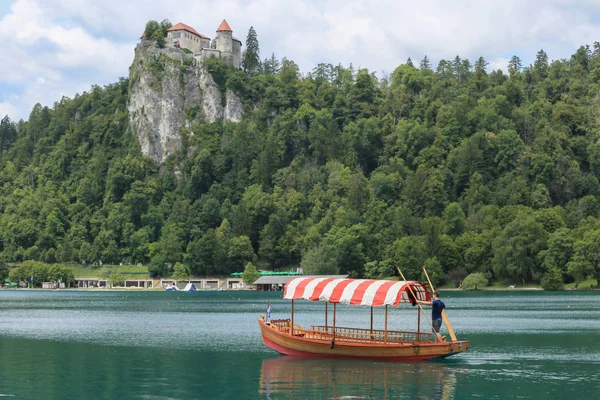 Vykrvené jezero ve Slovinsku za slunečného letního dne — Stock fotografie