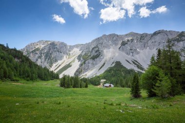 Ljubelj Slovenya üzerinde Zelenica mera