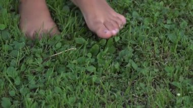 Çocuk yavaş çekimde yaz yeşil çim üzerinde yalınayak koşuyor. Çimenli arka bahçe çimlerinde küçük bir kızın çıplak ayakları. Gimbal stabilize atış.