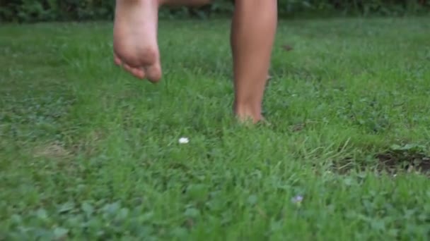 Child running barefoot on summer green grass in slow motion. Bare feet of a little girl on grassy backyard lawn. Gimbal stabilized shot. — Stock Video