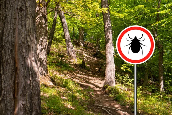 Yabani yeşil ormanda keneler işareti.