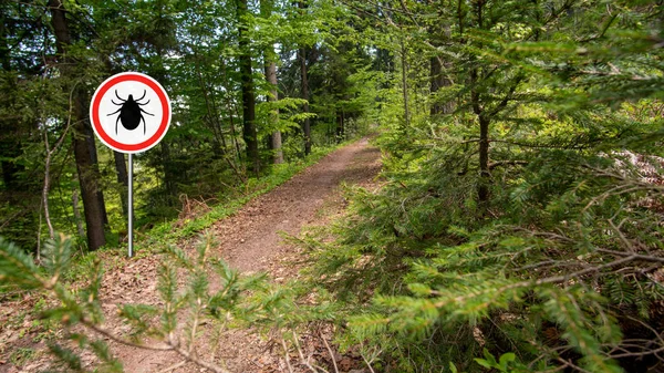 Fästingar logga in den vilda gröna skogen. — Stockfoto