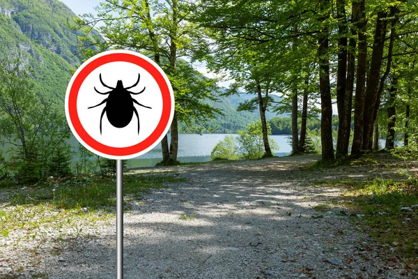 Fästingar logga in den vilda gröna skogen. — Stockfoto