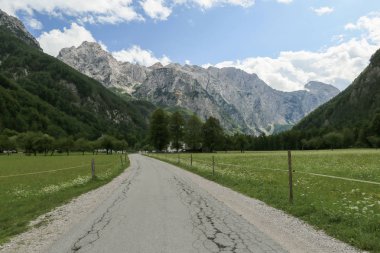 Sloven alpleri altındaki Logar vadisi.