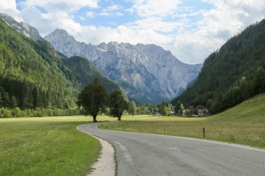Sloven alpleri altındaki Logar vadisi.