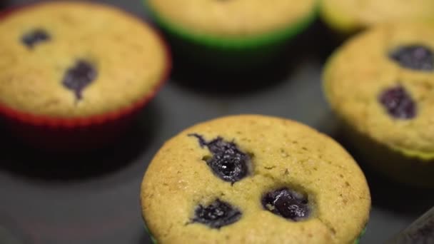 Bandeja de magdalenas de vainilla recién horneadas con frutas de masa de galletas, producción de magdalenas. Antecedentes industria alimentaria — Vídeo de stock