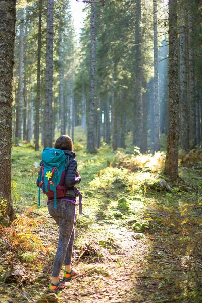 Пішохідна жінка з рюкзаком в лісі . — стокове фото