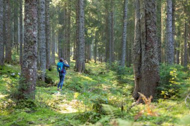 Ormanda sırt çantası ile Yürüyüşçü kadın.