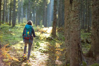 Ormanda sırt çantası ile Yürüyüşçü kadın.