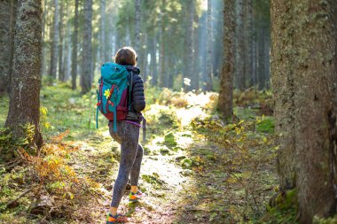 Ormanda sırt çantası ile Yürüyüşçü kadın.