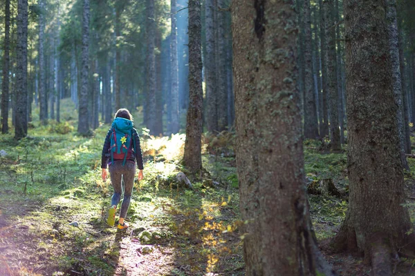 Caminante mujer con mochila en el bosque . —  Fotos de Stock