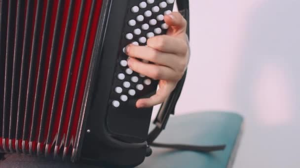 Jongen speelt accordeon — Stockvideo