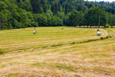 Çiftçi saman topluyor