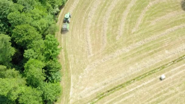 Agricultor coleta de feno — Vídeo de Stock