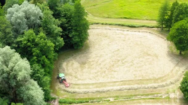 Agricultor coleta de feno — Vídeo de Stock