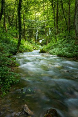 Slovenya 'da Şelale Susec
