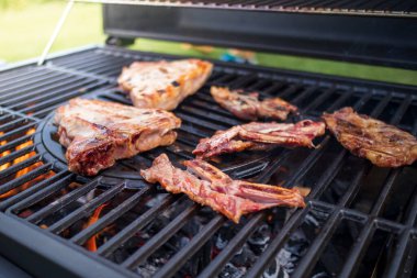 Arka bahçede barbekü var.