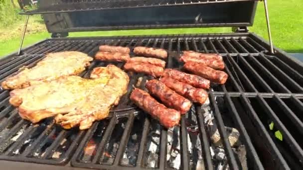 Barbecue in de achtertuin — Stockvideo