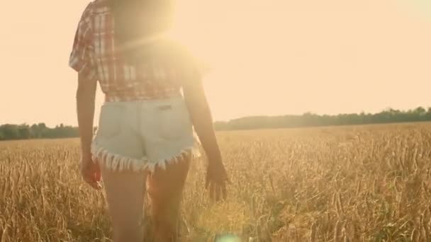 Woman on a wheat field at sunset — Stock Video