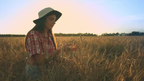 Vrouwelijke boer in het veld — Stockvideo