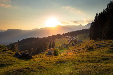 Zajamniki: Pokljuka, Slovenya