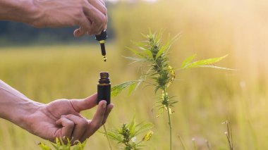 Cbd yağ şişesi tutan adam.