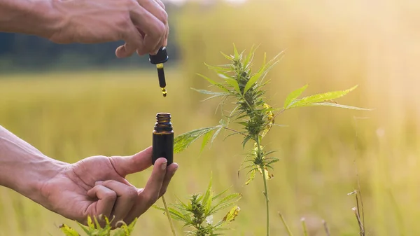 CBD a endokanabinoidní systém