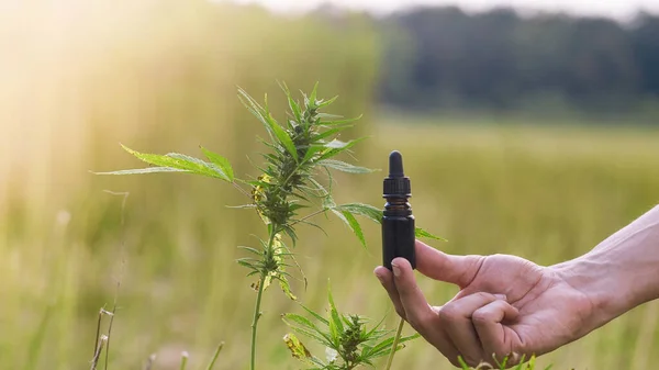 Hombre sosteniendo botella de aceite Cbd — Foto de Stock