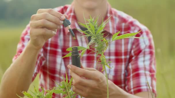 Mężczyzna trzymający butelkę oleju Cbd — Wideo stockowe