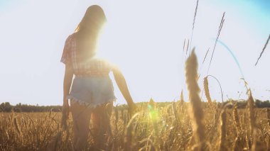 Gün batımında buğday tarlasında bir kadın