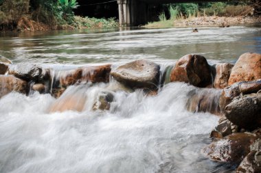 Nehir akıntısı yüksek gizemli dağlık derin ormanlarda yağmur ormanları ve nehirlerle doludur. Tropikal ormanların vahşi, canlı bitkileri..