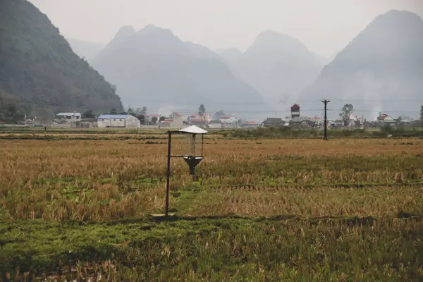 Vista Dos Campos Arroz Nas Montanhas Vietnam — Fotografia de Stock