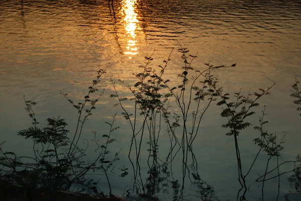 金色的夕阳映照在湖面的涟漪上 — 图库照片