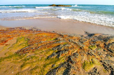 Kıbrıs'ta deniz kıyısında