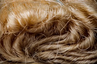 Kahverengi bir saçı kapat.