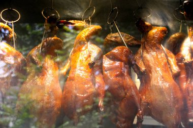 Bir sürü farklı et türü.