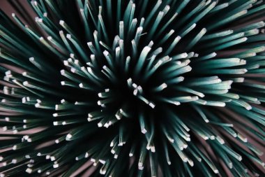 Tütsü çubuğu, insanların yerel geçim kaynaklarını ve kültürünü gösteren Hue, Vietnam 'daki Thuy Xuan Tütsü Köyü' nde turistler için popüler hediyelik eşya olarak satılmaktadır.