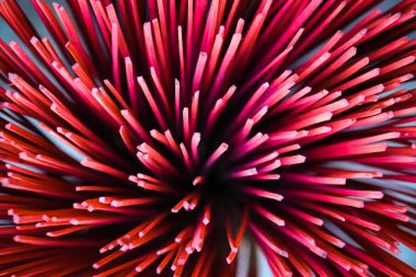 kırmızı tütsü çubukları yakın