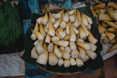 Naw mai or No mai (Bambu filizleri), geleneksel Laos mutfağında çorba için popüler egzotik sebzeler ve Luang Prabang sabah pazarında satılıyor.