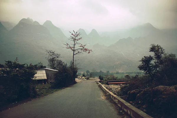 Scenario Scuro Lunatico Della Nebbia Coperto Strada Montagna Meo Vac — Foto Stock