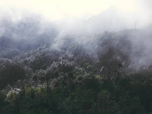 Névoa Rolando Sobre Floresta Espessa Lung Vietnã Durante Temporada Inverno — Fotografia de Stock