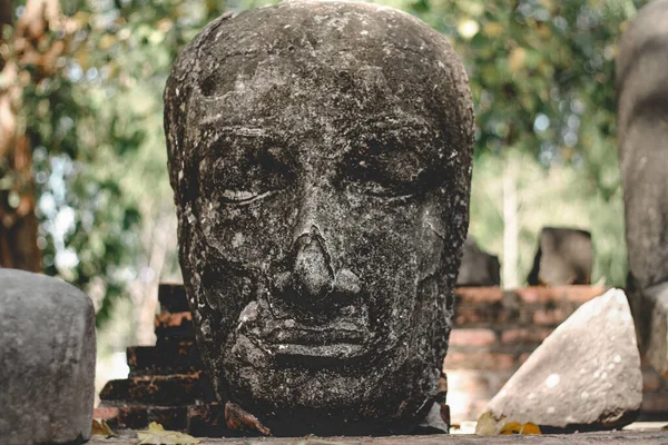 Ayutthaya Tarihi Parkı Nda Antik Bir Taş Buda Başkanı Tayland — Stok fotoğraf