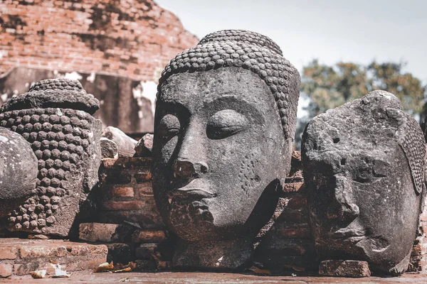 位于Ayutthaya历史公园的古石菩萨头 该公园是泰国的一个教科文组织遗址和旅游胜地 — 图库照片