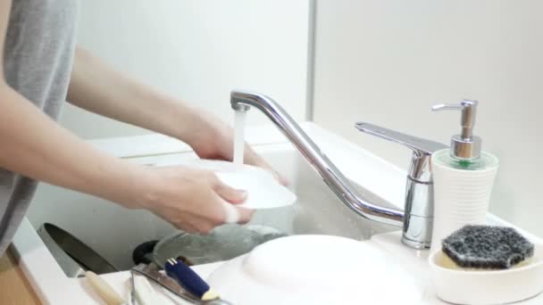 Woman Hands Rinse White Plate Kitchen Dish Washing Routine — Stock Video