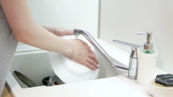 Femme Mains Rincer Plaque Blanche Sur Cuisine Lave Vaisselle Routine — Video