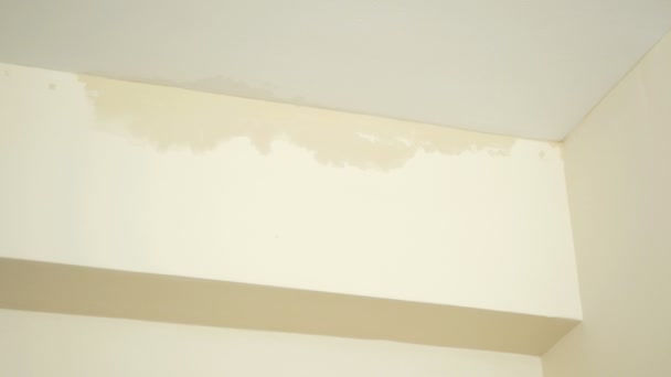 Fuites Eau Plafond Mur Humide Plafond — Video